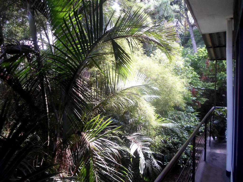 Drop Hostel Kandy Exteriör bild